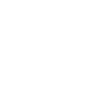 shield (1)
